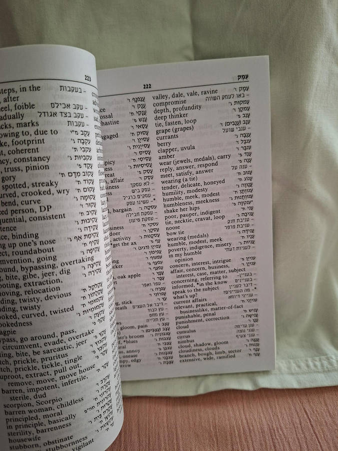 Shimon Zilberman The Up-to-date Hebrew-English Dictionary