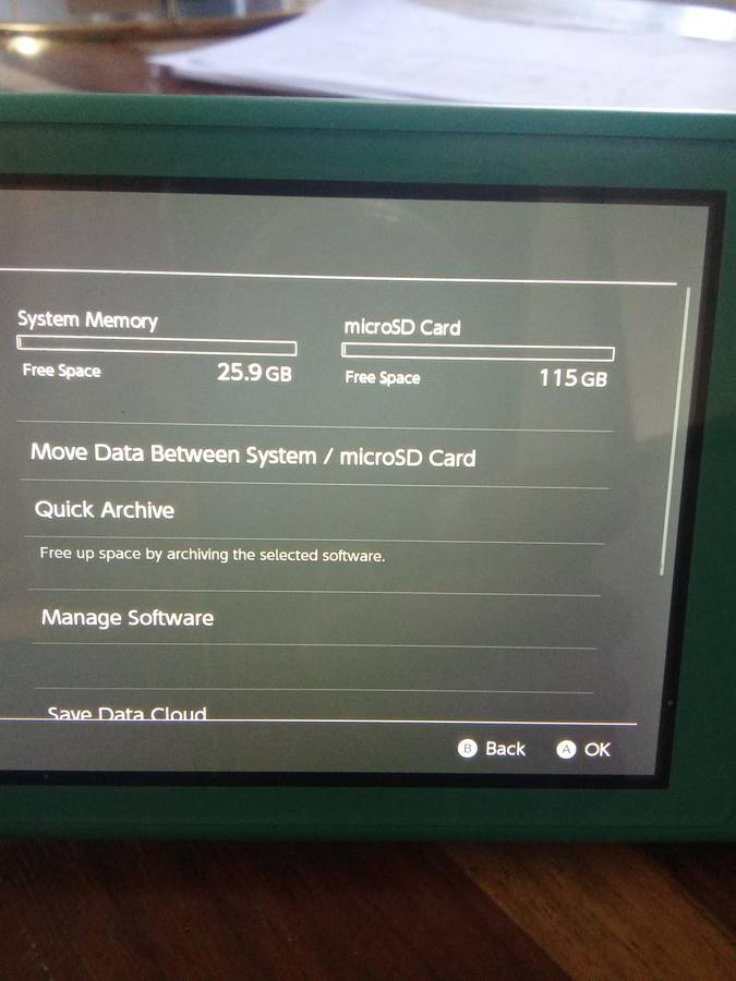 Nintendo Switch Lite (Turquoise)