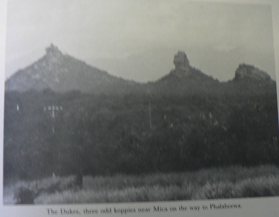 The Vanished Saddleback, the story of Phalaborwa by J.F. Grewar(Eastern/Northern Transvaal  history)