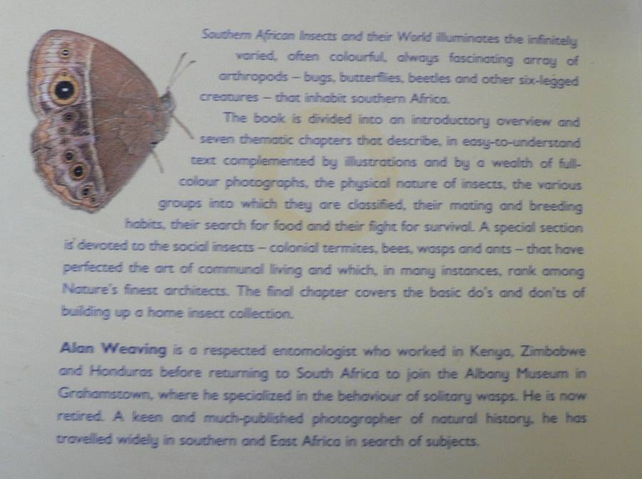 Southern African Insects and their world by Alan Weaving