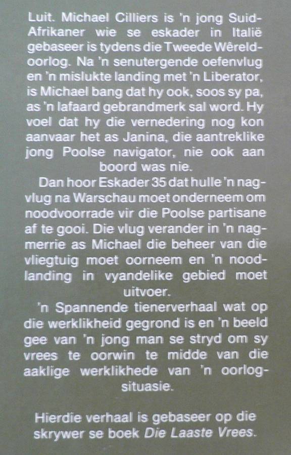 Nagbrug deur Adriaan Snyman( SA lugmag in WWII)