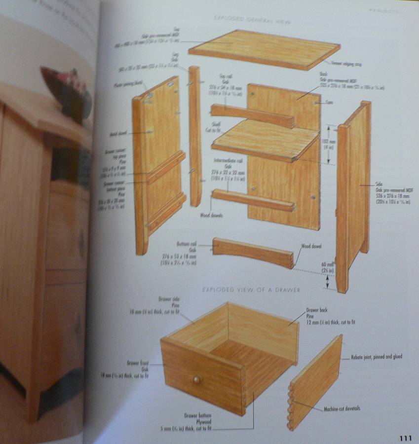 Encyclopedia of Woodworking by Alan and Gill Bridgewater