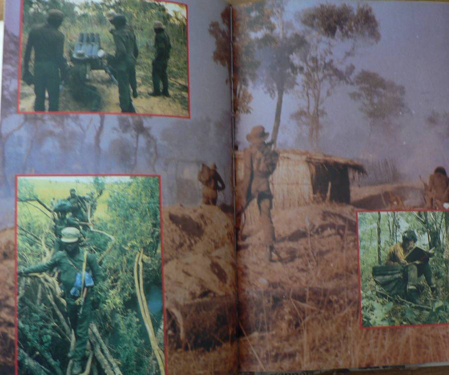 The war for Africa, twelve months that transformed a continent by Fred Bridgeland(bushwar)