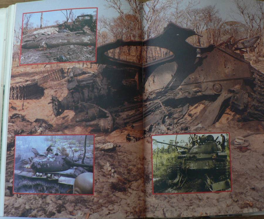 The war for Africa, twelve months that transformed a continent by Fred Bridgeland(bushwar)