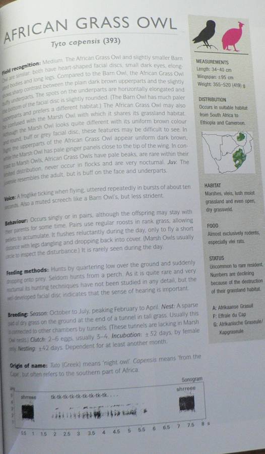Raptor identification Guide for Southern Africa by Oberprieler and Cillie