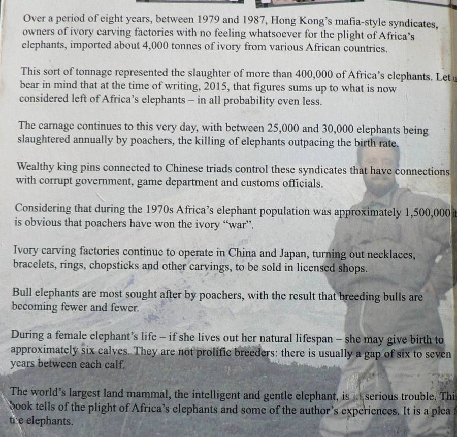 A plea for the elephants, can Africa's elephants be saved?(African nature book)