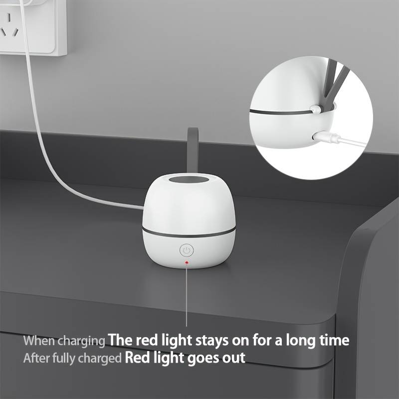 Portable Uv Sterilizer