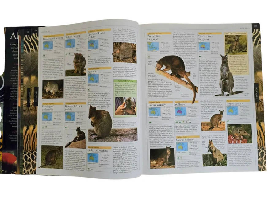 Animal: The definitive visual guide FREE SHIPPING