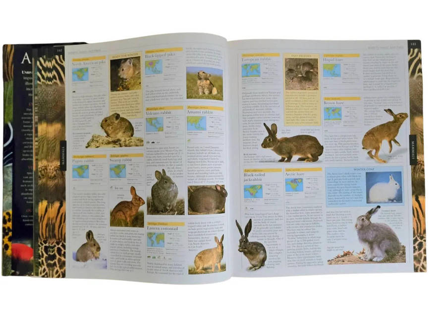 Animal: The definitive visual guide FREE SHIPPING