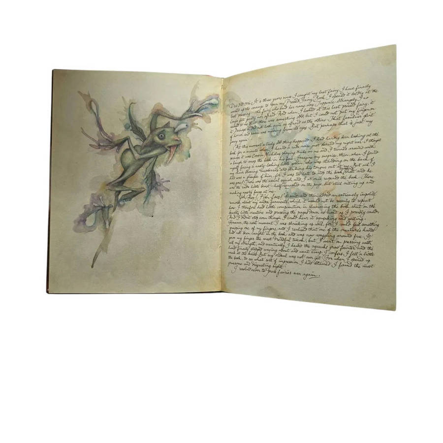 Lady Cottington's Pressed Fairy Book: Small gift book edition - Terry Jones & Brian Froud