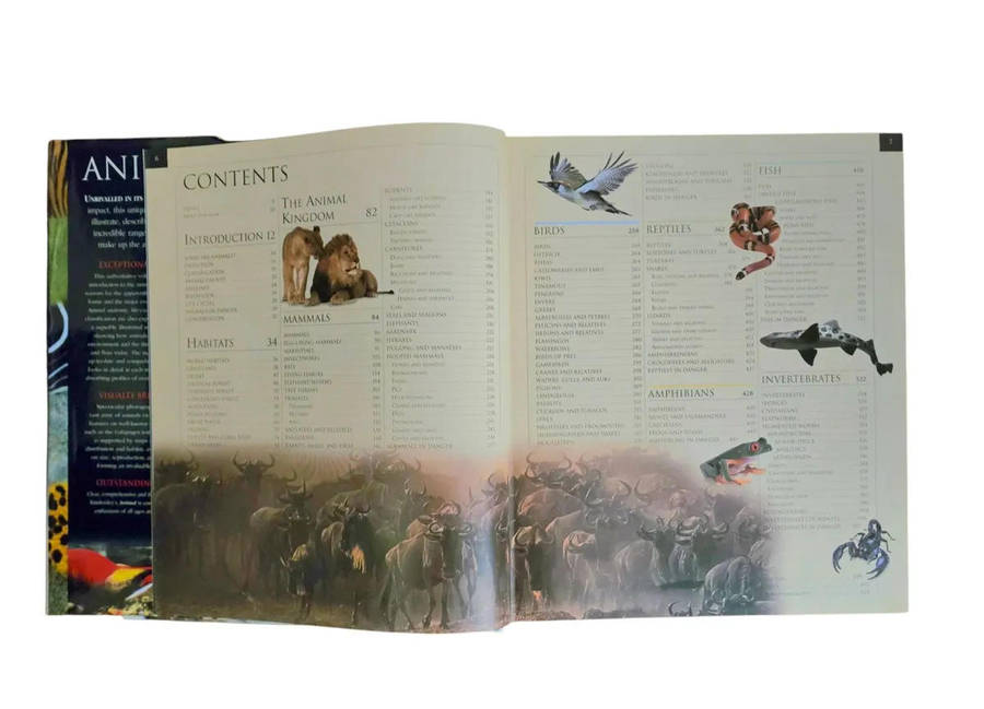 Animal: The definitive visual guide FREE SHIPPING