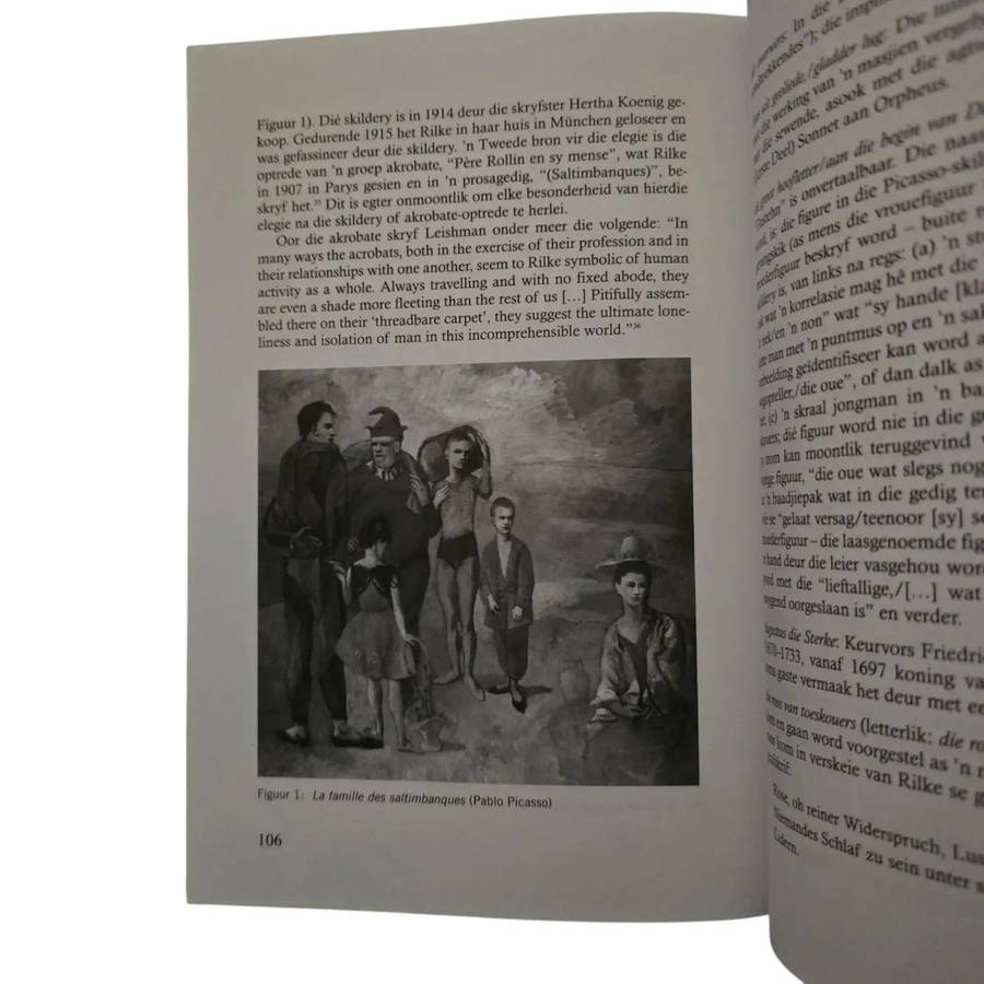 Duino- Elegieë - Rainer Maria Rilke - vertaal deur HJ Pieterse (Duino Elegies)