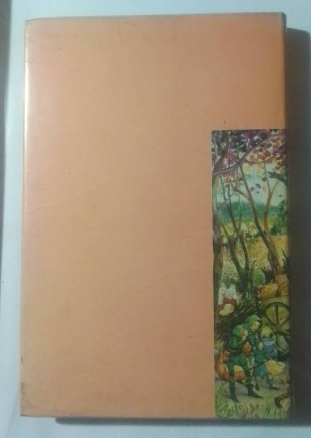 The door in the wall-By: Marguerite de Angeli