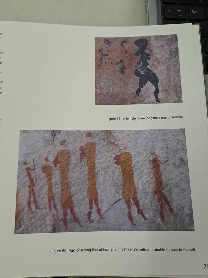 CEDERBERG ROCK PAINTINGS. By John Parkington