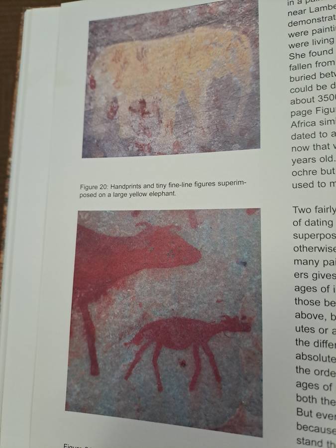 CEDERBERG ROCK PAINTINGS. By John Parkington