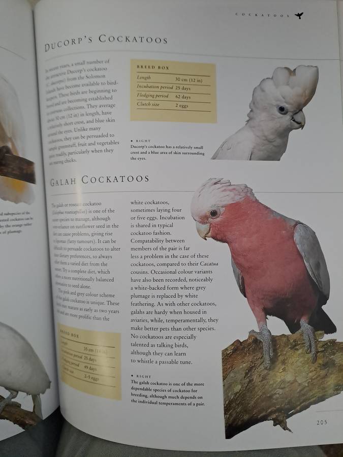 CAGED AND AVIARY BIRDS. By D Alderton