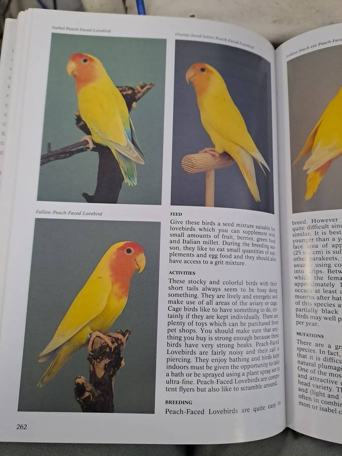 THE ENCYCLOPEDIA OF CAGE AND AVIARY BIRDS