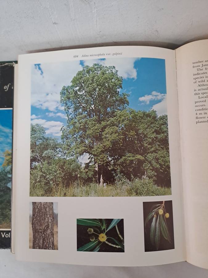TREES OF THE KRUGER NATIONAL PARK.  2 volumes. By P Van Wyk.
