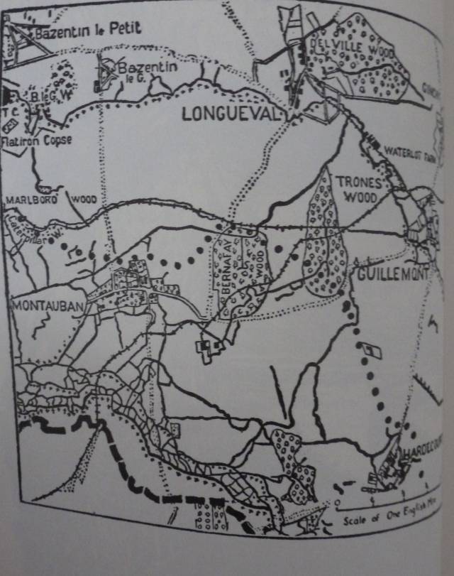 THE STORY OF DELVILLE WOOD
