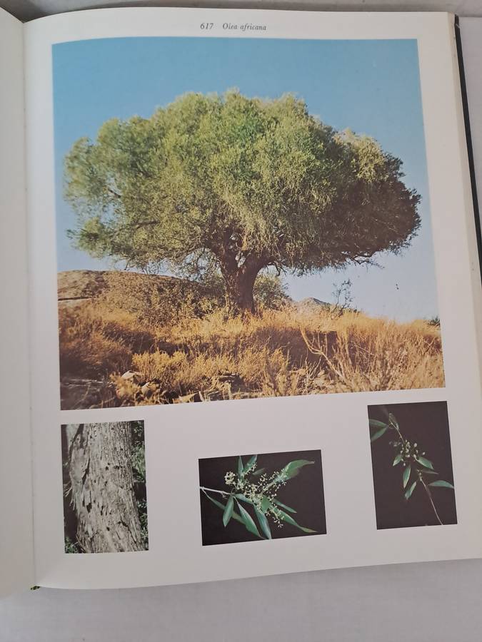 TREES OF THE KRUGER NATIONAL PARK.  2 volumes. By P Van Wyk.