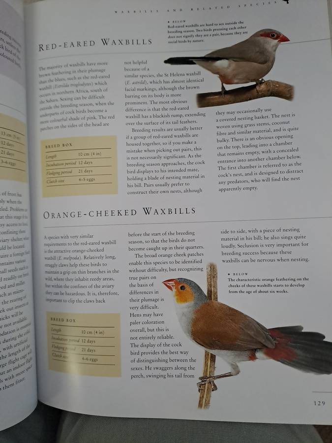 CAGED AND AVIARY BIRDS. By D Alderton