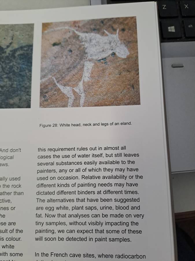 CEDERBERG ROCK PAINTINGS. By John Parkington