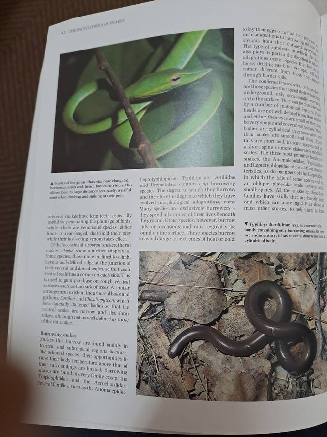 THE ENCYCLOPEDIA OF SNAKES.  By C Mattison