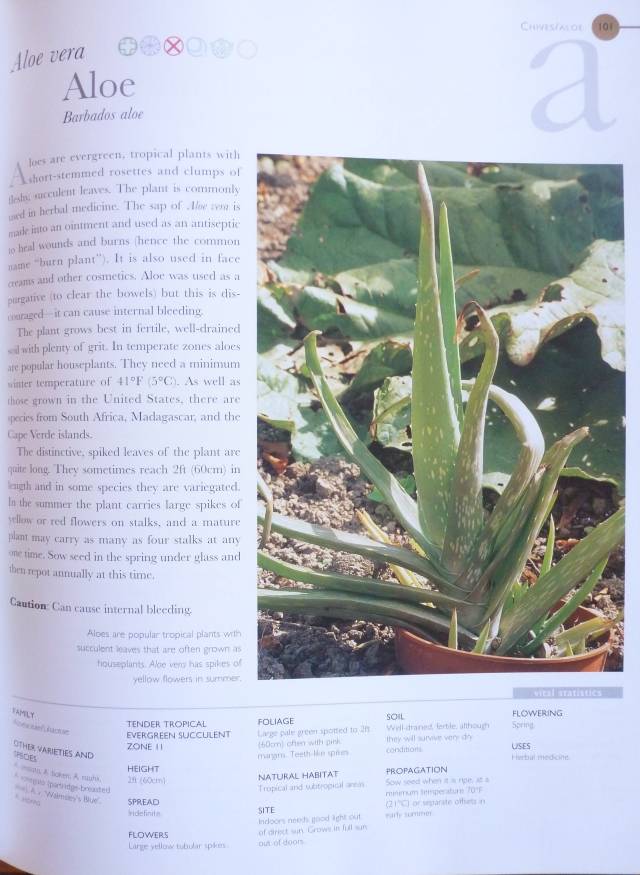 THE ULTIMATE HERB BOOK By Antony Atha