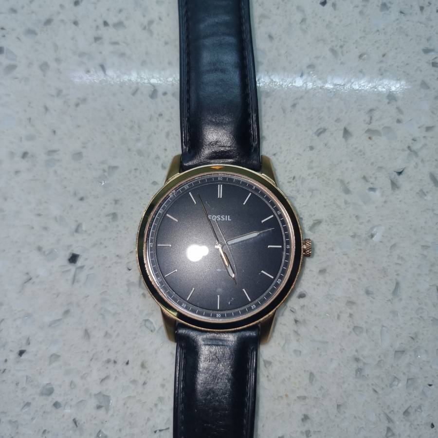 Fossil Watch