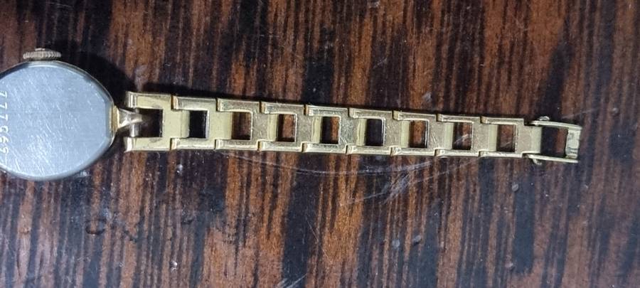 Rotary ladies watch wind up