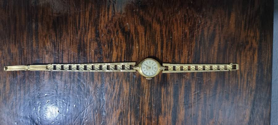 Rotary ladies watch wind up