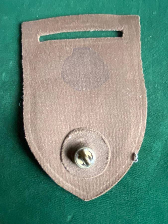 8 SA INF. BATTALION TUPPER FLASH-ONE PIN