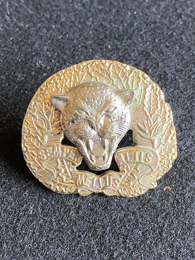6 SA INFANTRY TRAINING UNIT BI/METAL CAP BADGE-VOIDED TYPE-APPROVED IN 1986- 2 X SCREW LUGS