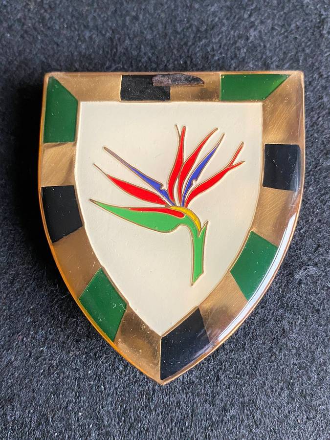 6 SA INFANTRY BATTALION FLASH-GOLD TYPE- 3 PINS