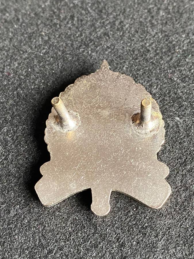 NORTHERN CAPE COMMAND PROVOST UNIT CAP BADGE-APPROVED 1991-2X SCREW LUGS