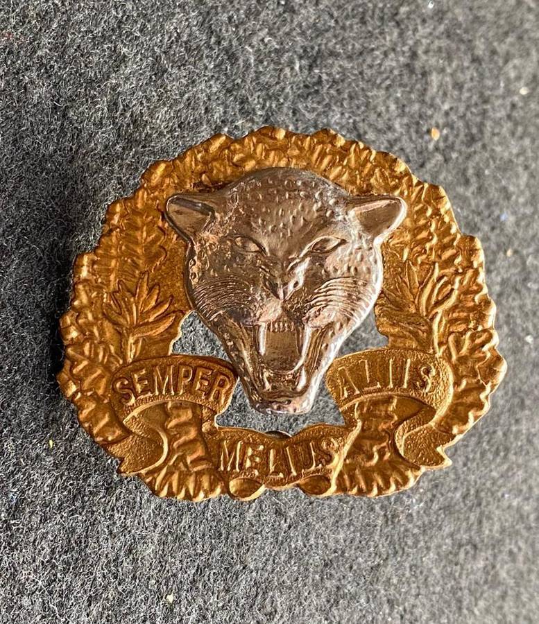 6 SA INFANTRY BERET BADGE-WORN 1986-2003-2X SCREW LUGS