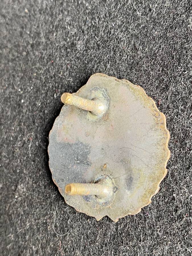 82 MECHANISED BRIGADE HQ UNIT CAP BADGE-APPROVED 1986- 2 X SCREW LUGS