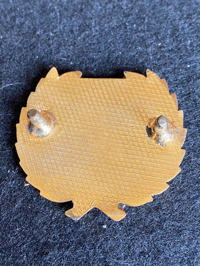 72 MOTOTRISED BRIGADE HQ GOLD WREATH CAP BADGE-APPROVED 1986- 2 LUGS