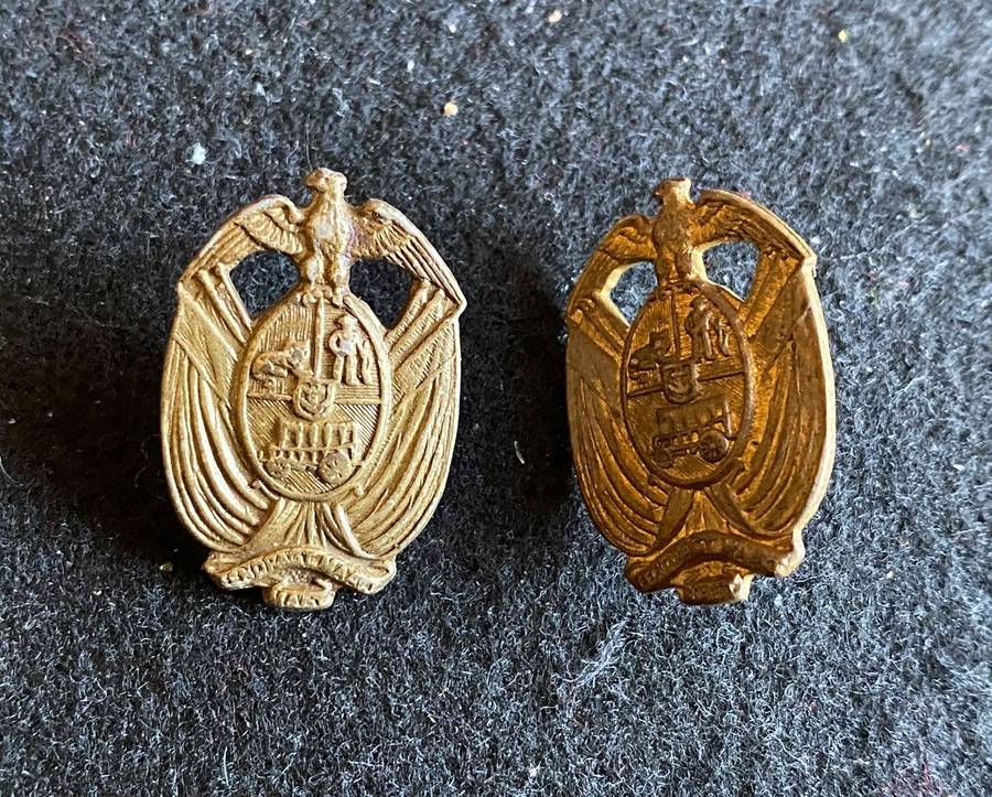 VINTAGE TRANSVAAL PROV. ADMINISTRATION COLLAR BADGE PAIR-ONE PIN MISSING