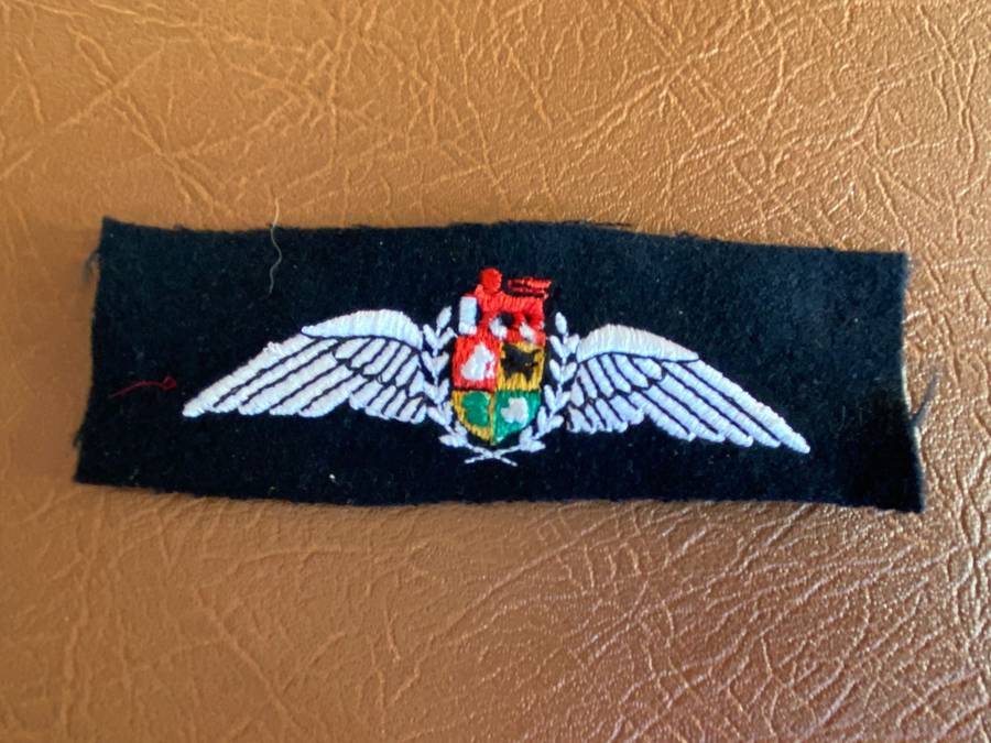 SAAF PILOTS WING -1993-2003