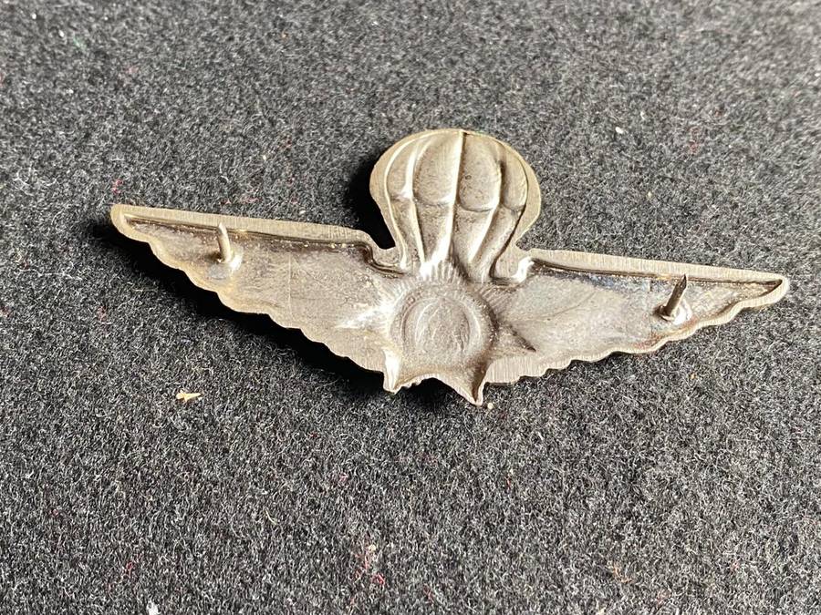 CISKEI POLICE PARACHUTE WING- 2 PINS