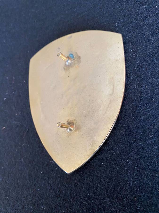 SANDTON FIRE BRIGADE-LARGE HELMET PLATE- 2X SCREW LUGS