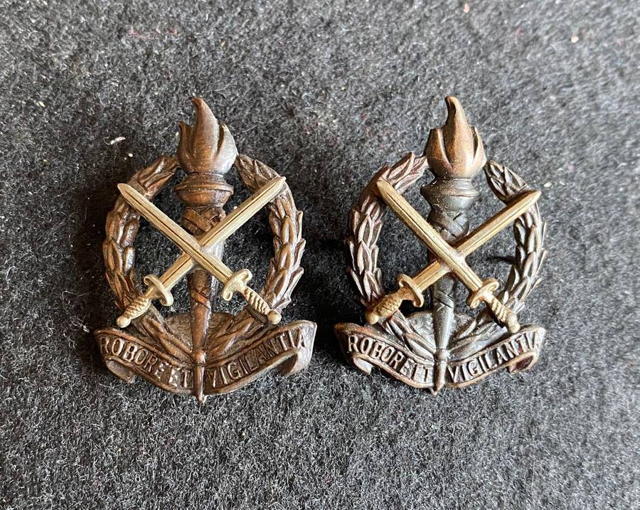 REGT. SCHOONSPRUIT COLLAR PAIR-WORN FROM 1966-ONE PIN MISSING