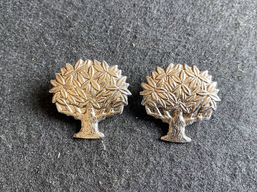 REGT. VRYSTAAT COLLAR BADGE PAIR-WORN POST 1976-PINS INTACT