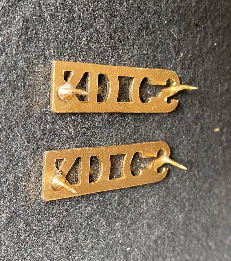 SA CORRECTIONAL SERVICE TITLE PAIR-PINS COMPLETE