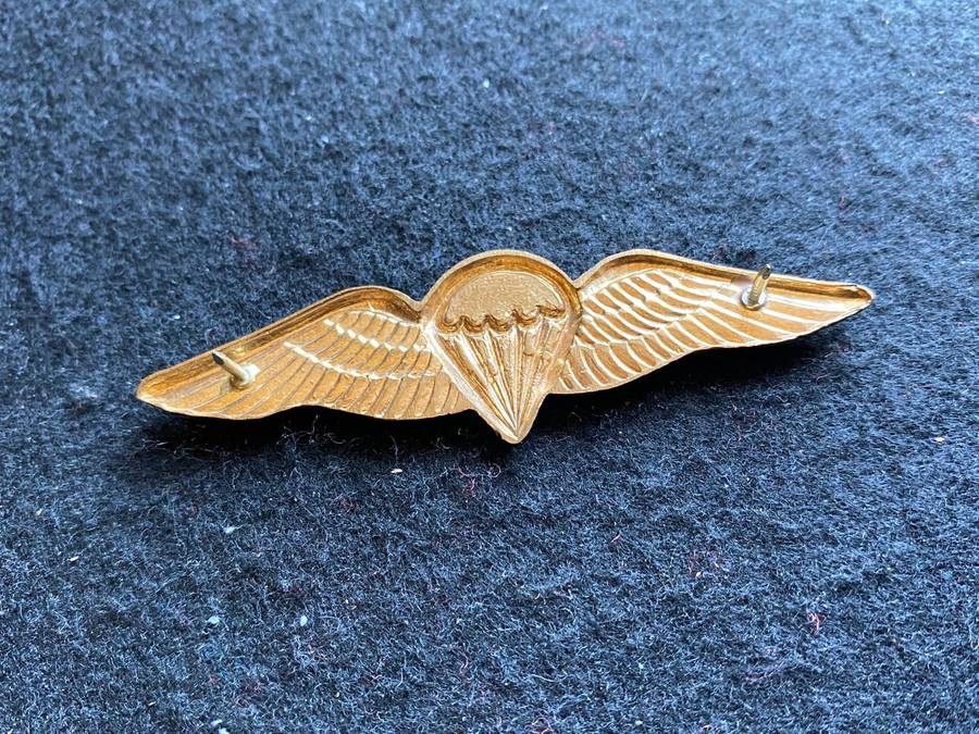 SADF FREE FALL PARATROOPER WING(COLOUR VARIATION) FULL SIZE- 2 PINS