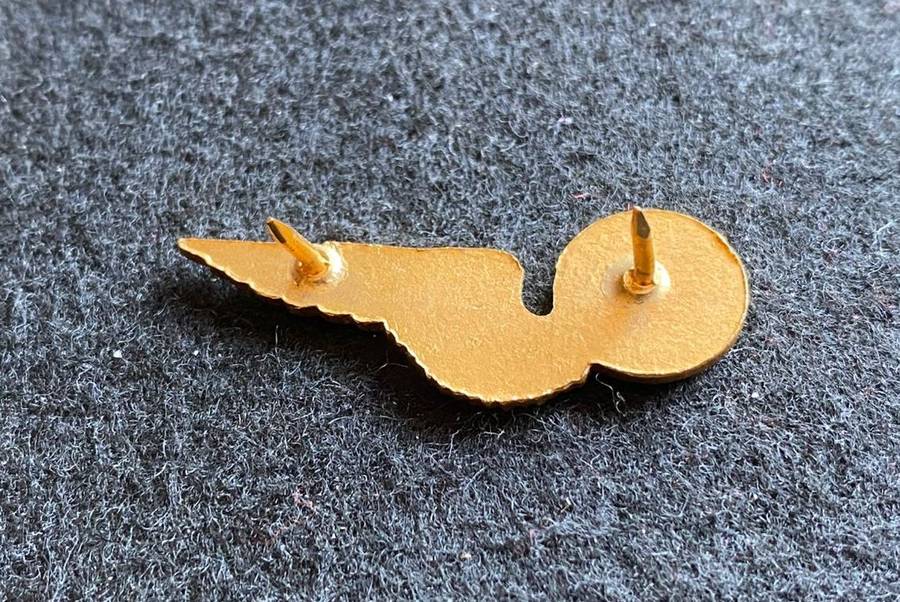 SAAF AIR PHOTOGRAPHER,MESS DRESS BREAST BADGE- GILT - 2 PINS