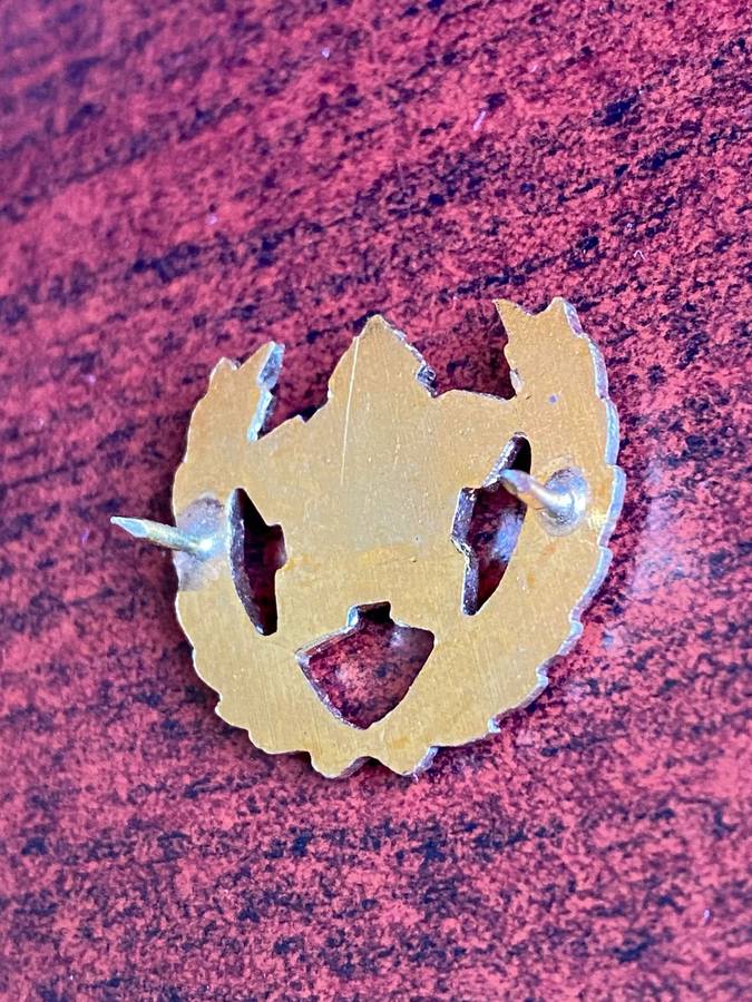 ARMY BREAST BADGE FOR CITIZEN FORCE COMMANDO'S AND VOLUNTEERS FOR 5 YEAR SERVICE- 2 PINS