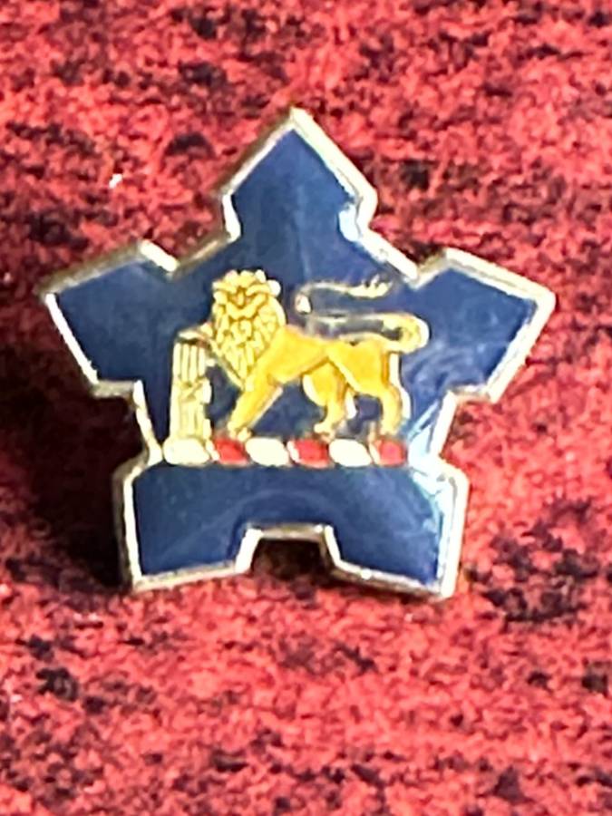 SA NAVY COLLAR BADGE- ONE PIN