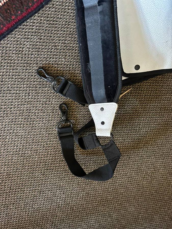 PING G10 DLX CART BAG-PRO CIRCUIT-THIS BAG IS IN VERY GOOD CONDITION,WITH ALL ZIPS WORKING-COMES WIT